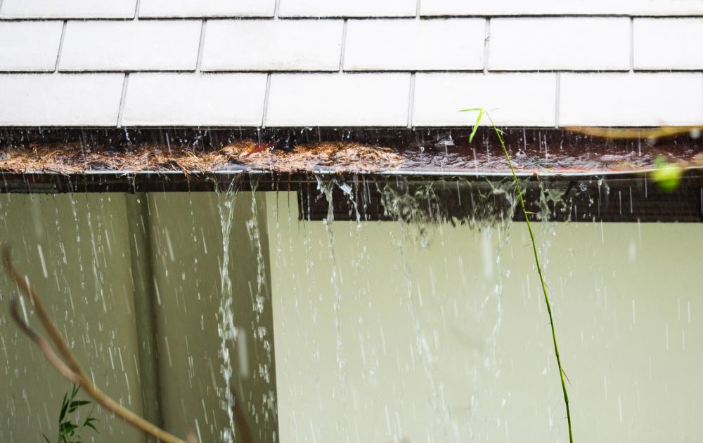 Rain Gutter Cleaning