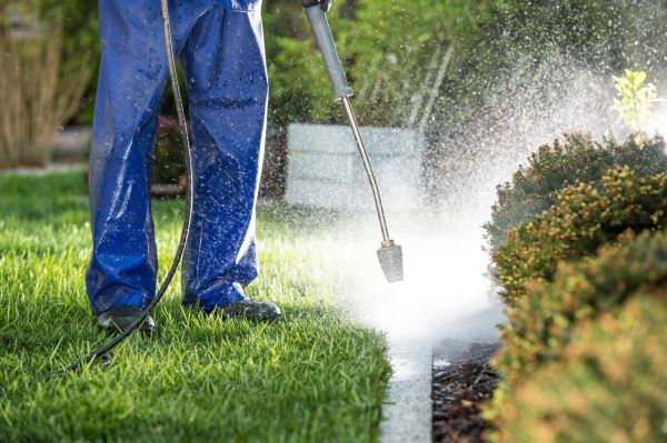 Curb Cleaning in Sumter