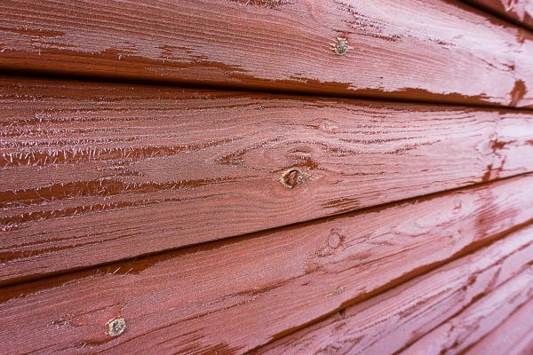 Cedar Siding Cleaning in Sumter