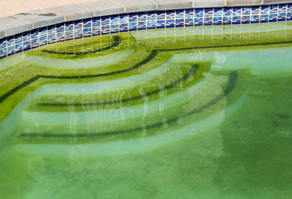 Pool Deck Algae Removal in Sumter