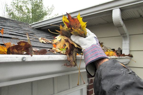 Eaves Cleaning in Sumter
